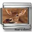 Baby Deer Photo Italian Charm