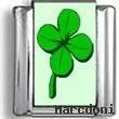 Four Leaf Clover Photo Charm