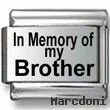 In memory of my Brother
