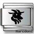 Capricorn Laser