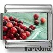Bright Cranberries Photo Charm